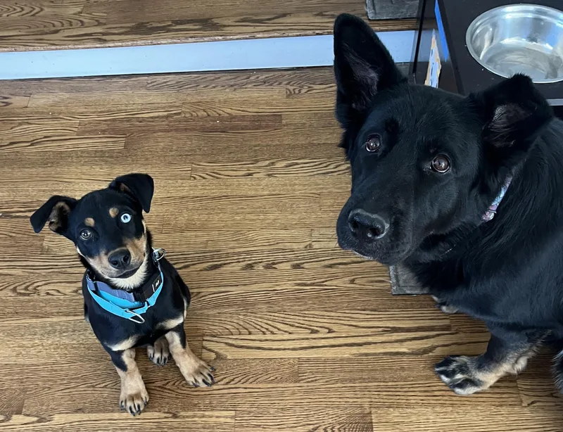 Zelda Zip  Local thumbnail 5