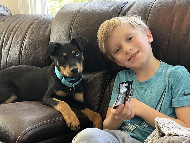 Zelda Zip  Local thumbnail 6