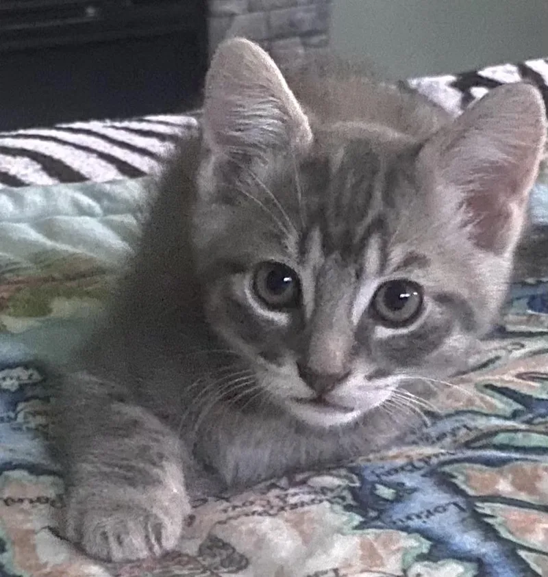 Hershey thumbnail 3
