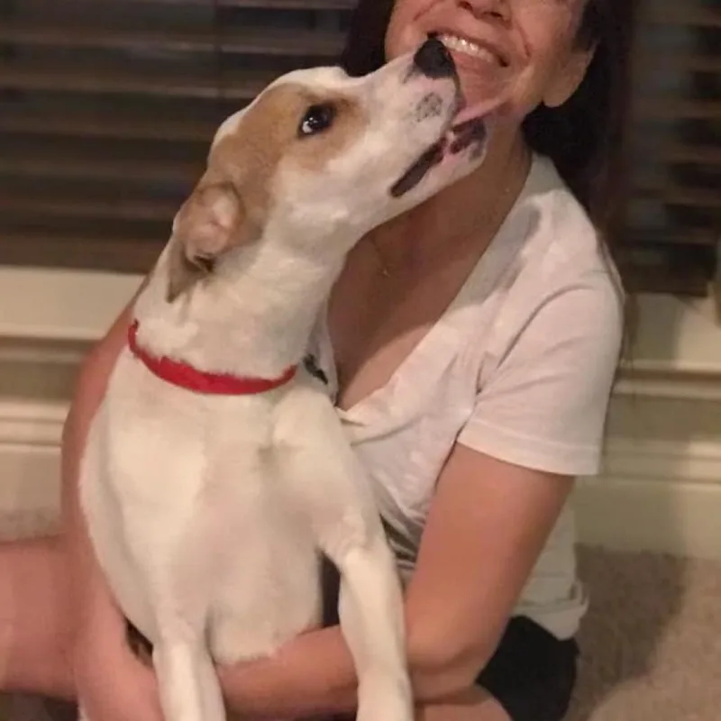 Baxler Garland thumbnail 5