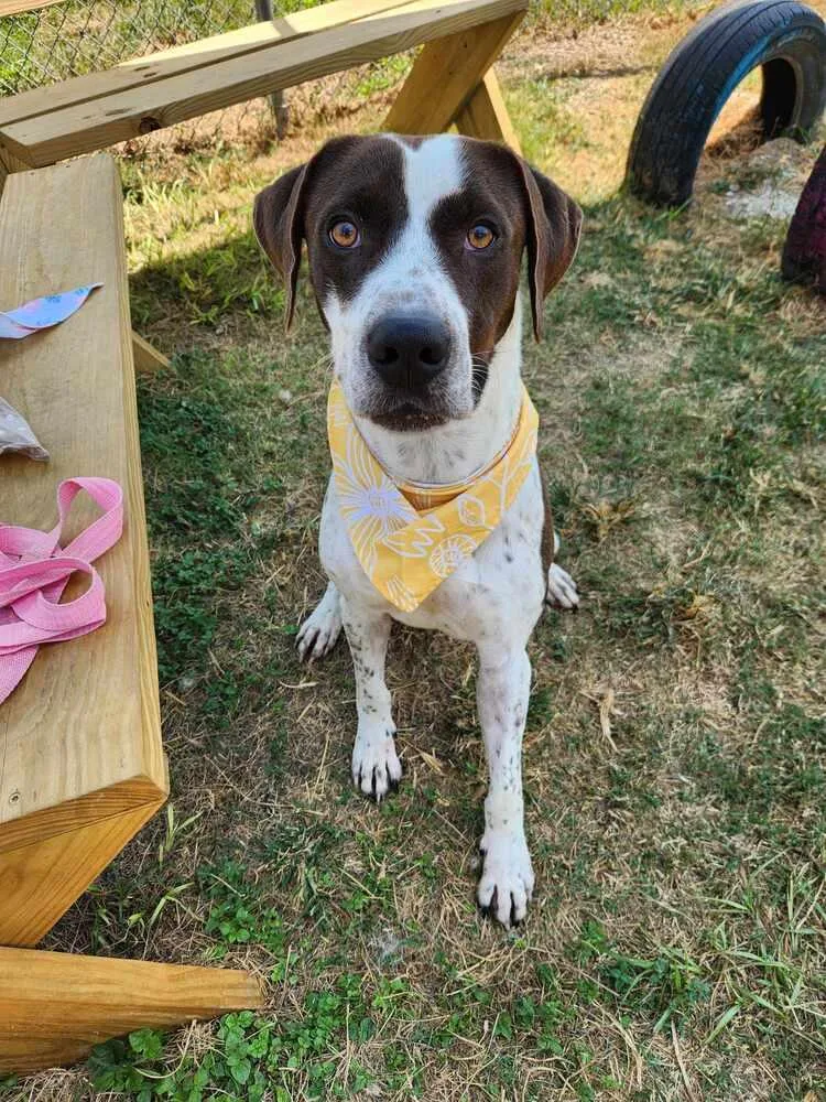 Jester A  🇨🇦 thumbnail 5