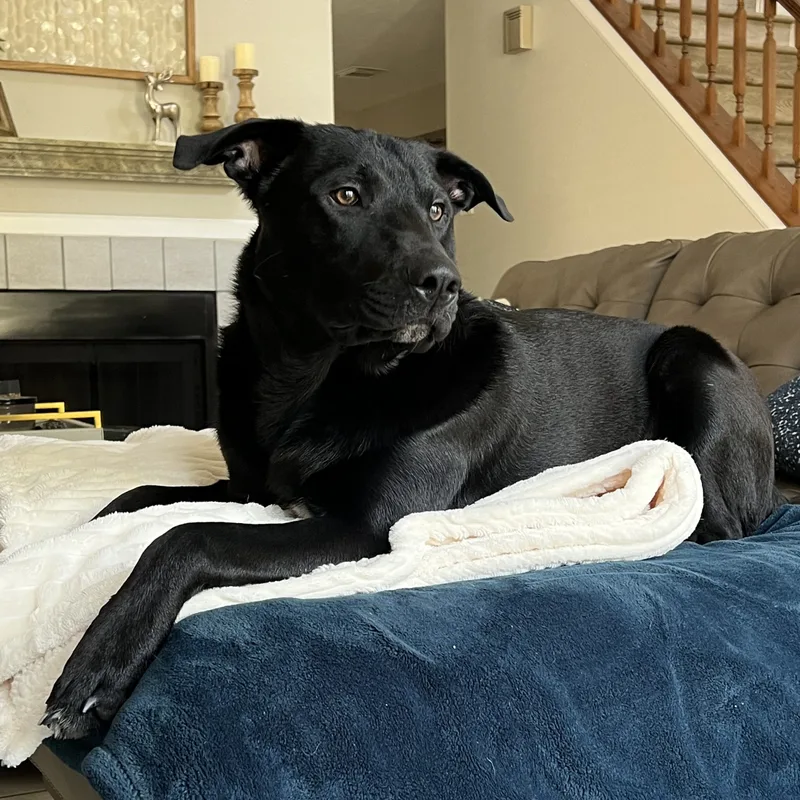 Little Bear thumbnail 2