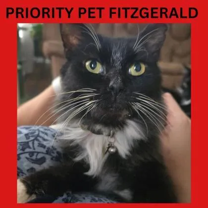 Fitzgerald  `a Priority thumbnail 2