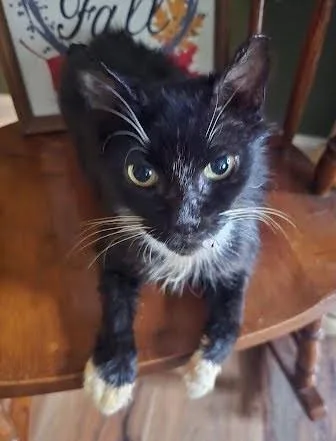 Fitzgerald  `a Priority