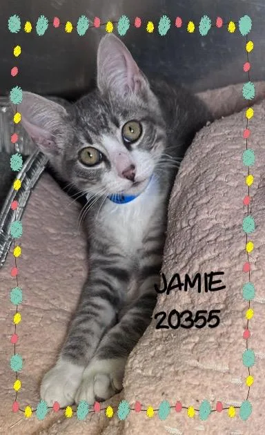 Jamie thumbnail 2