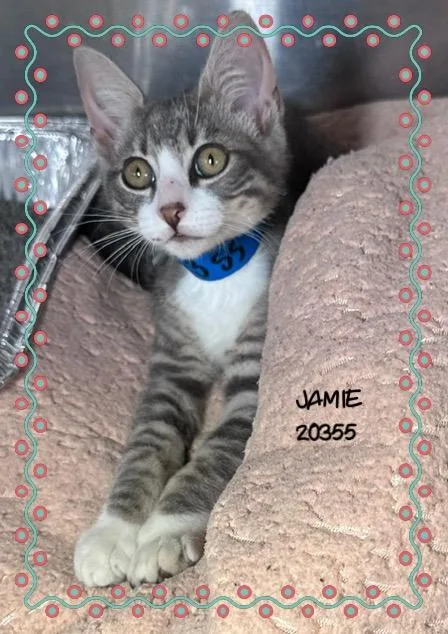 Jamie thumbnail 3