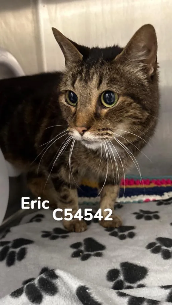Eric