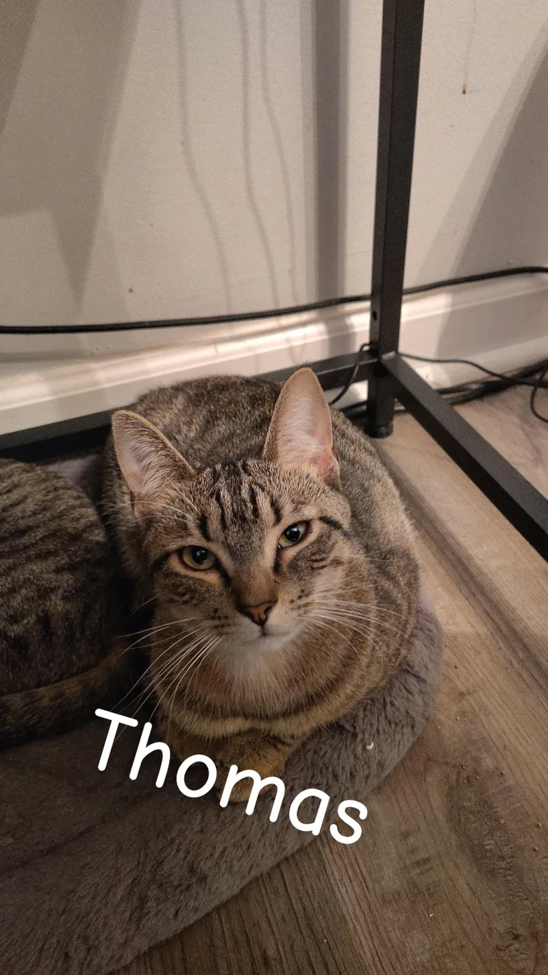 Thomas