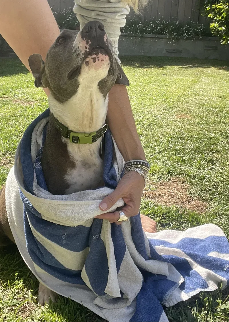 Maryjane thumbnail 2