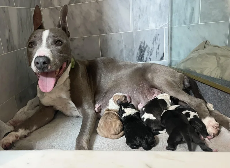 Maryjane thumbnail 3