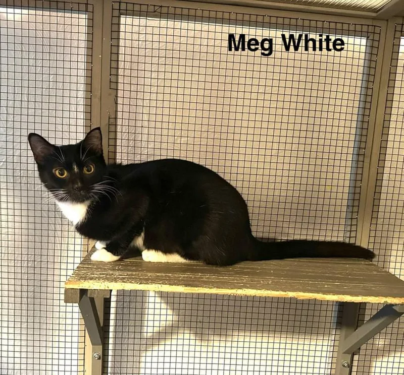 Meg White thumbnail 3