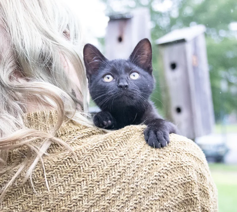 Luna thumbnail 2