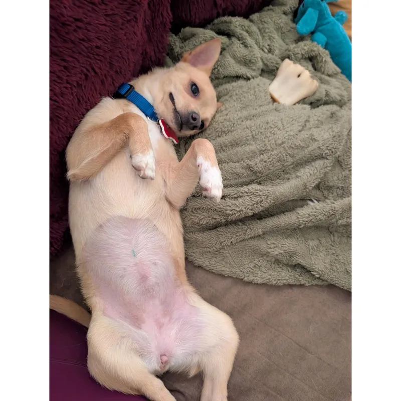 Roxy thumbnail 6
