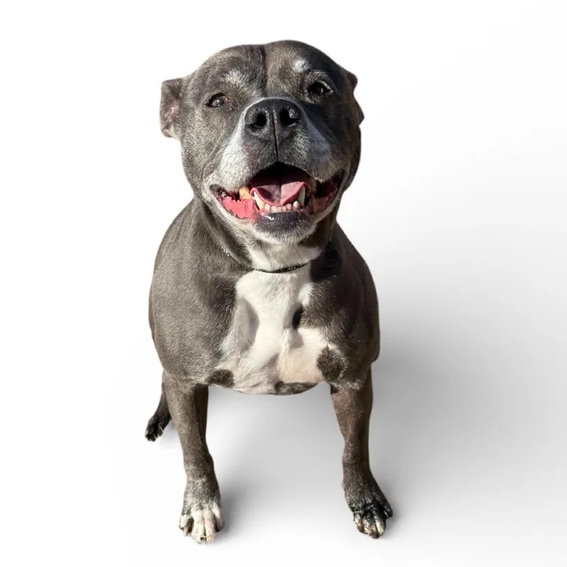 Miss Claus thumbnail 2