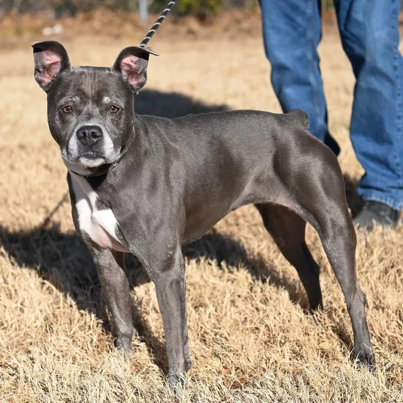 Miss Claus thumbnail 3