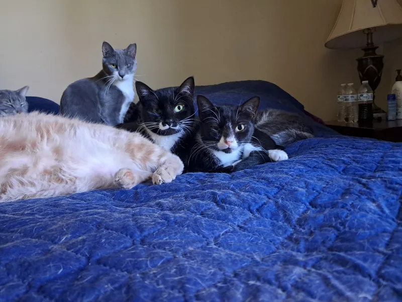 Tara & Wendy thumbnail 2