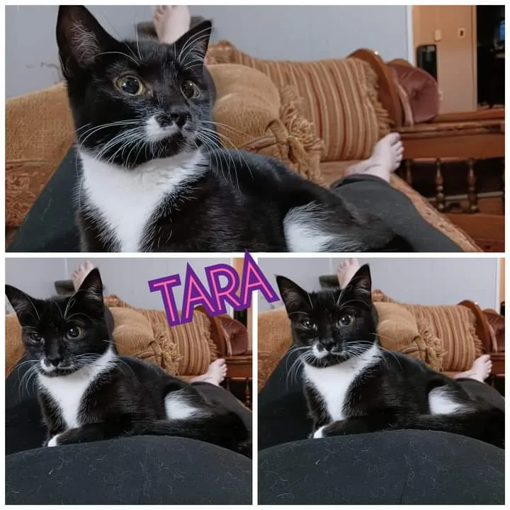 Tara & Wendy thumbnail 3