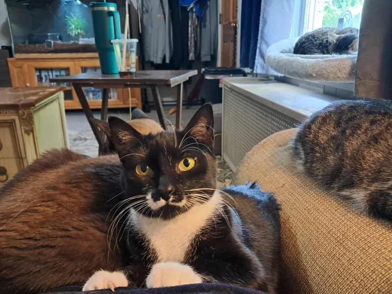 Tara & Wendy thumbnail 4