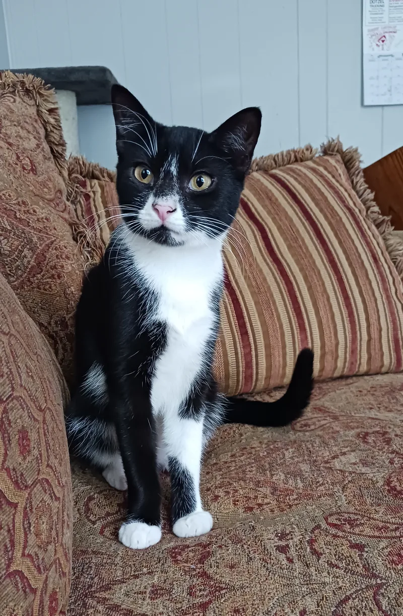 Tara & Wendy thumbnail 5