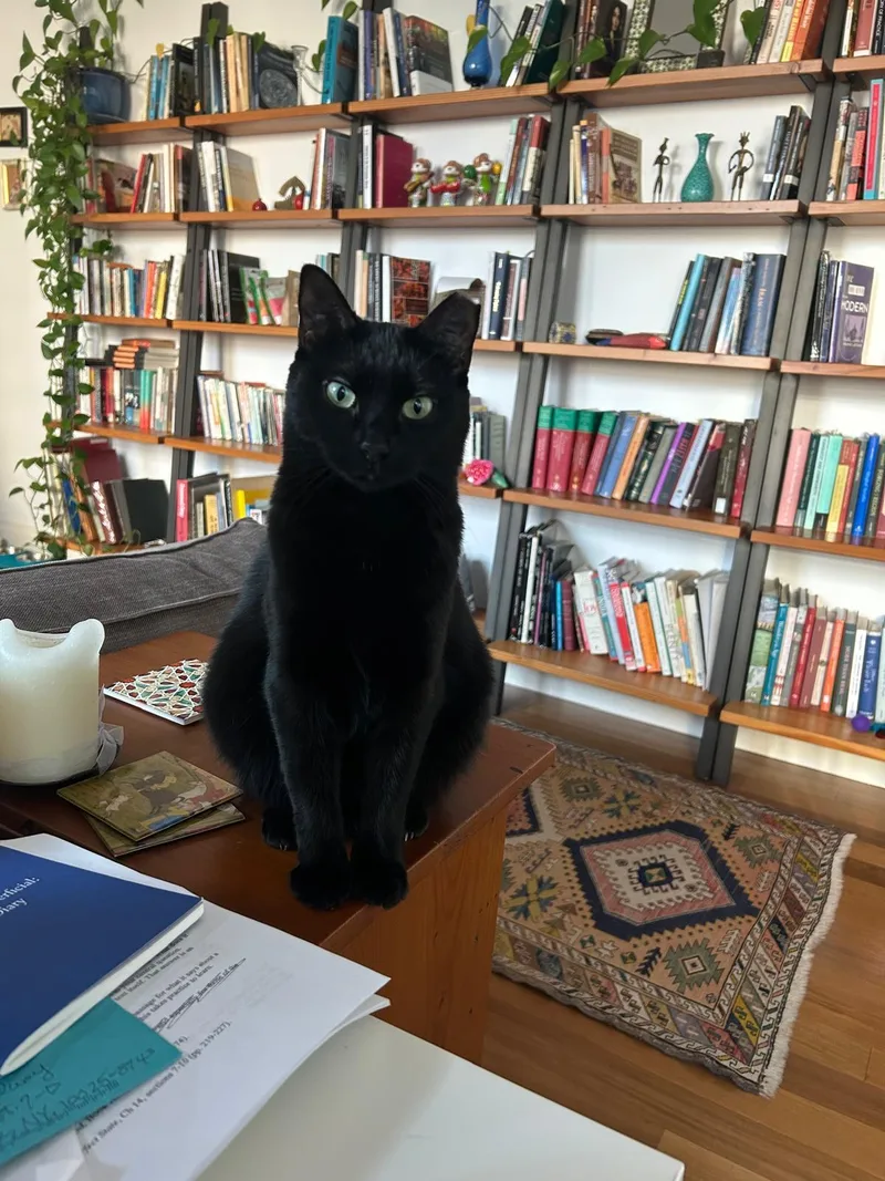 Michaela thumbnail 2