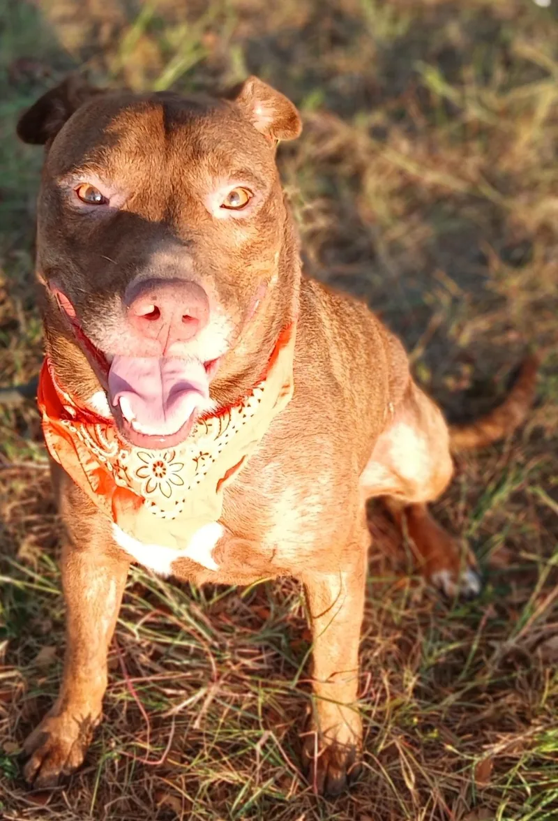 Marley  Super Sweet thumbnail 2