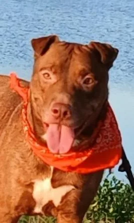 Marley  Super Sweet thumbnail 6