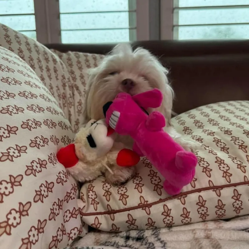 BonBon thumbnail 2
