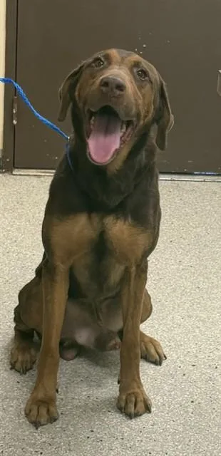 Stretch