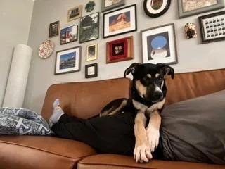 Baby Boy thumbnail 5