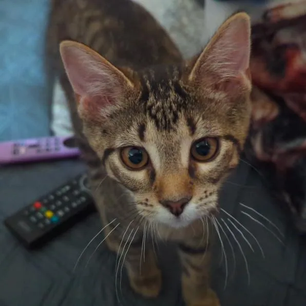 Kiki thumbnail 2