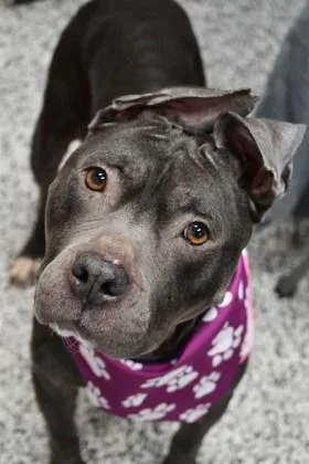 Tuti thumbnail 2
