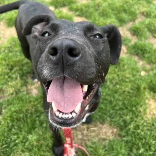 Beckyann thumbnail 2