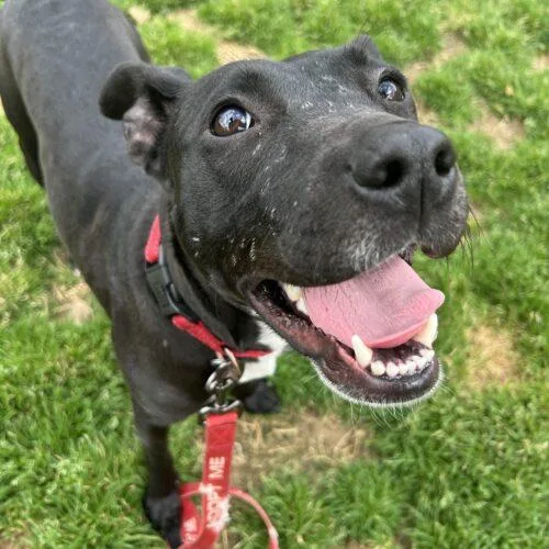 Beckyann thumbnail 3