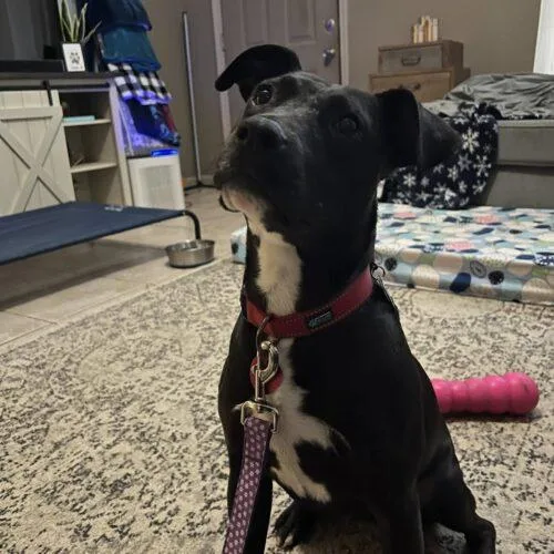 Beckyann thumbnail 4