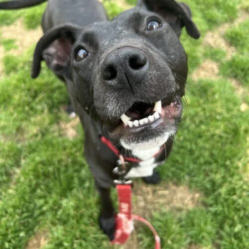 Beckyann thumbnail 5