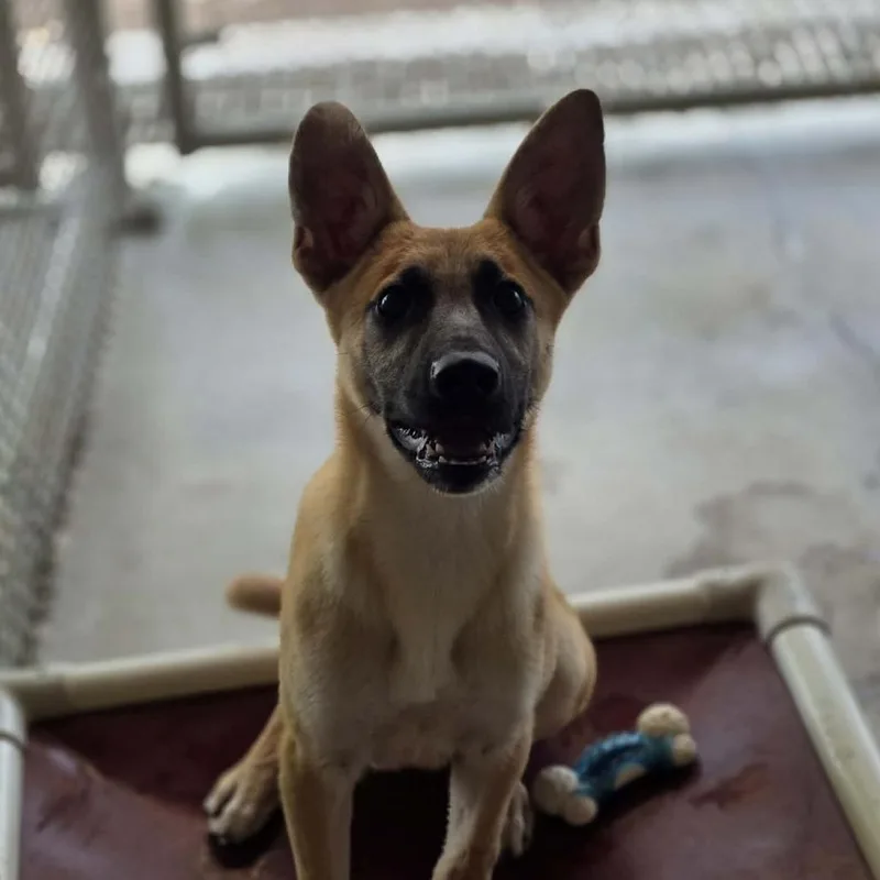 Oskar