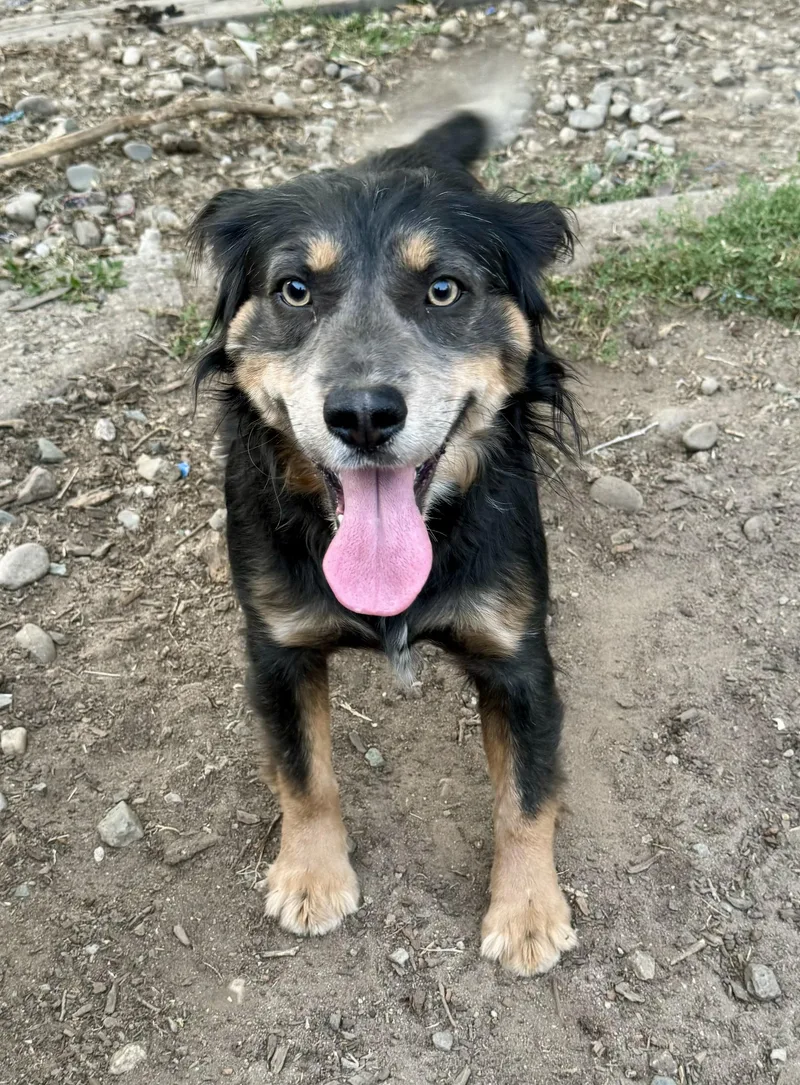 Buddy Luv thumbnail 3