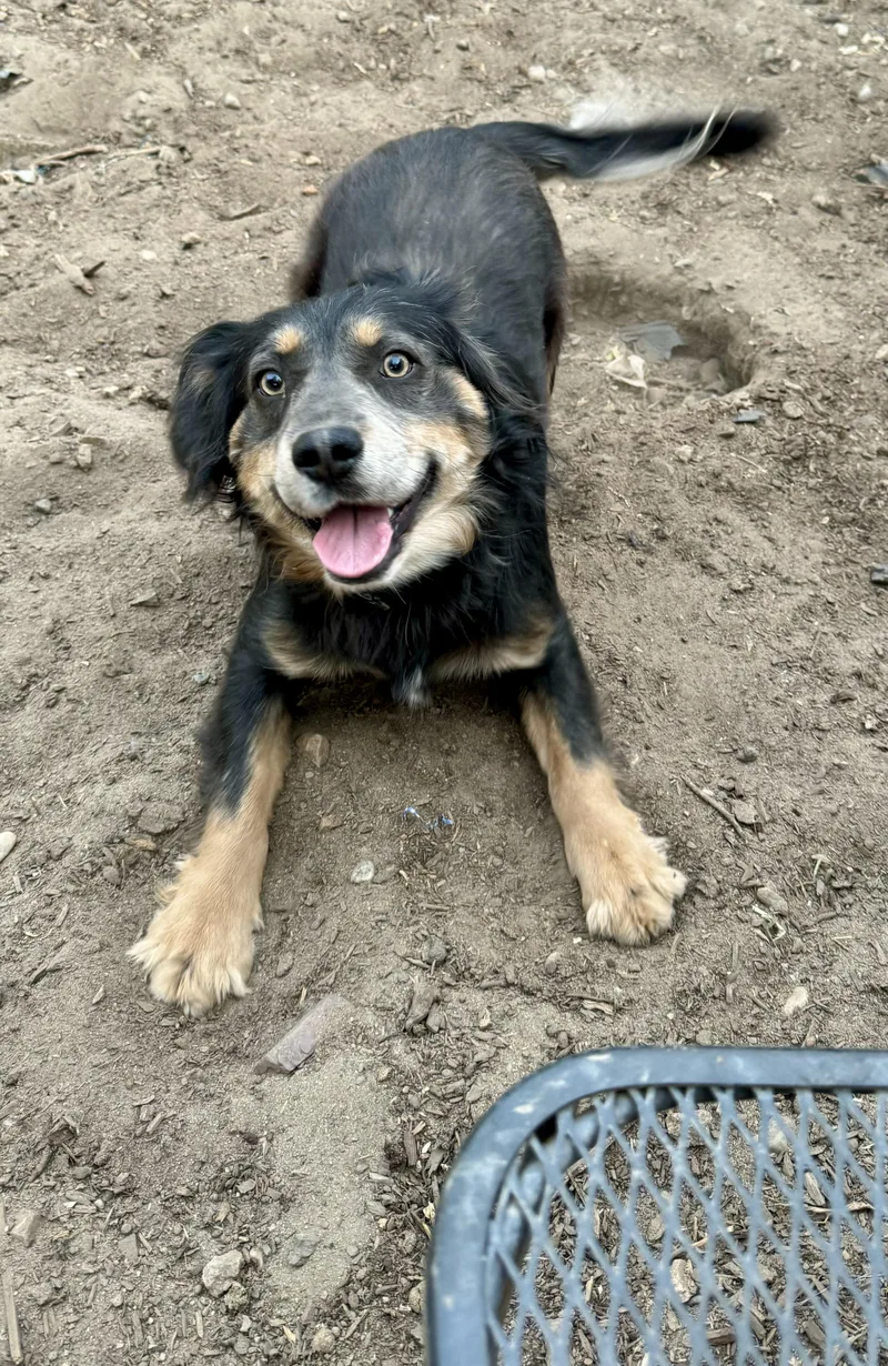 Buddy Luv thumbnail 4