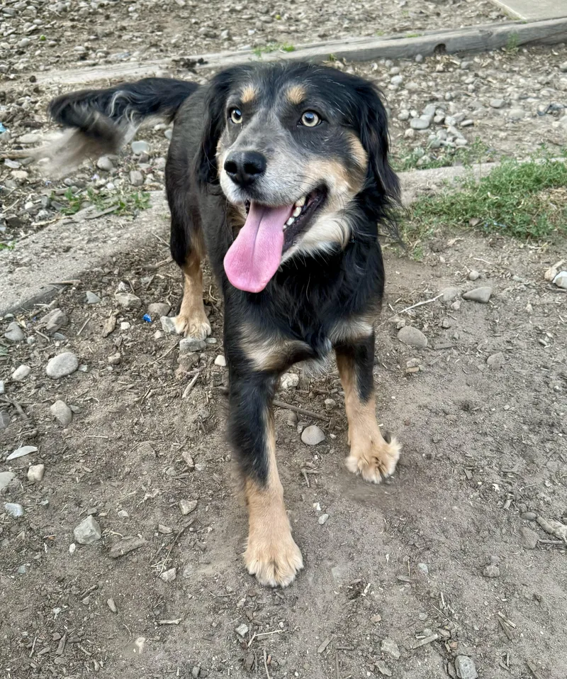 Buddy Luv thumbnail 5