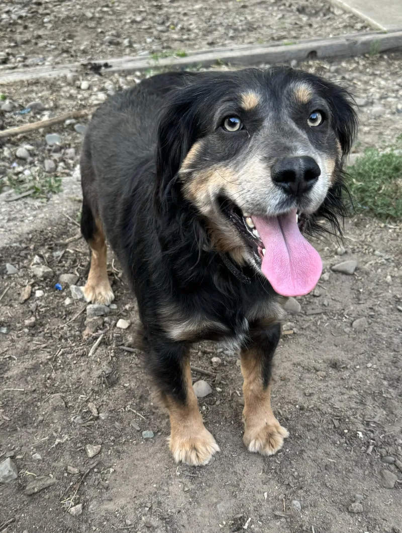 Buddy Luv thumbnail 6