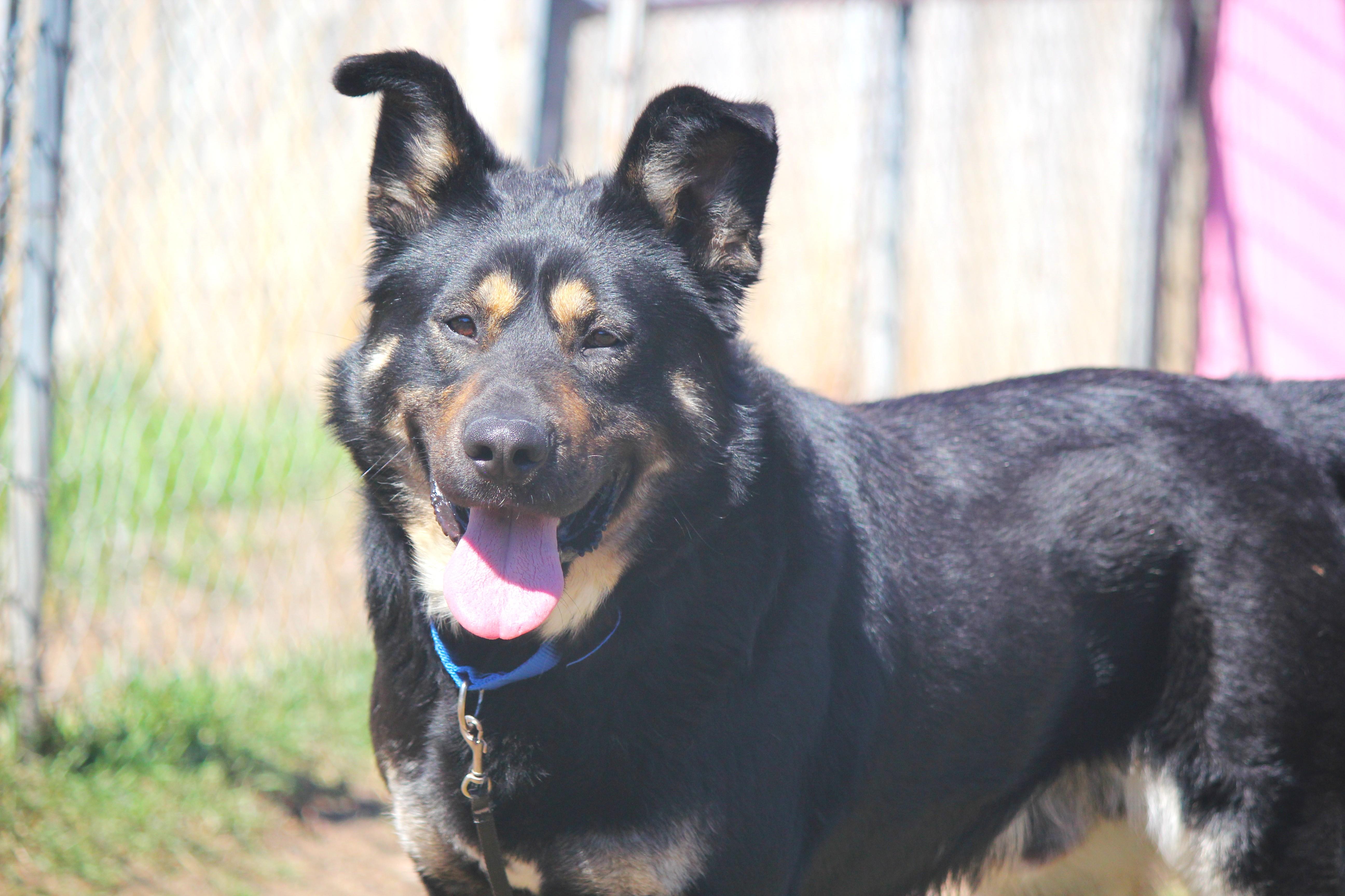 Bruno thumbnail 2