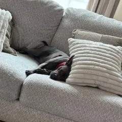 Munch in MO thumbnail 2