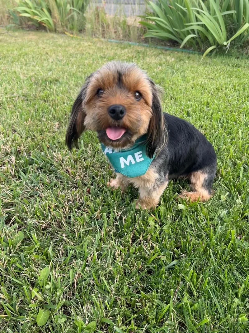Marnie