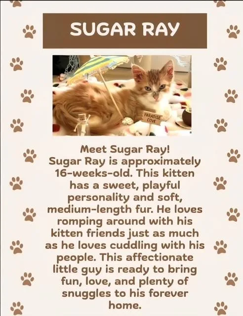 Sugar Ray