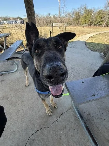 Hefty Hefty Hefty thumbnail 2