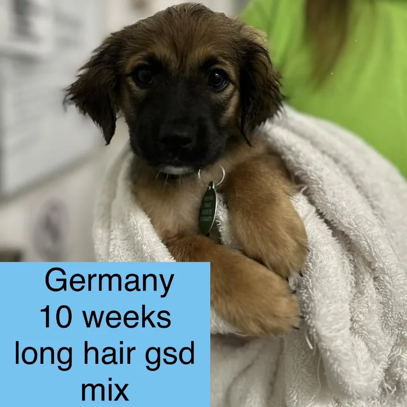 Germany thumbnail 3