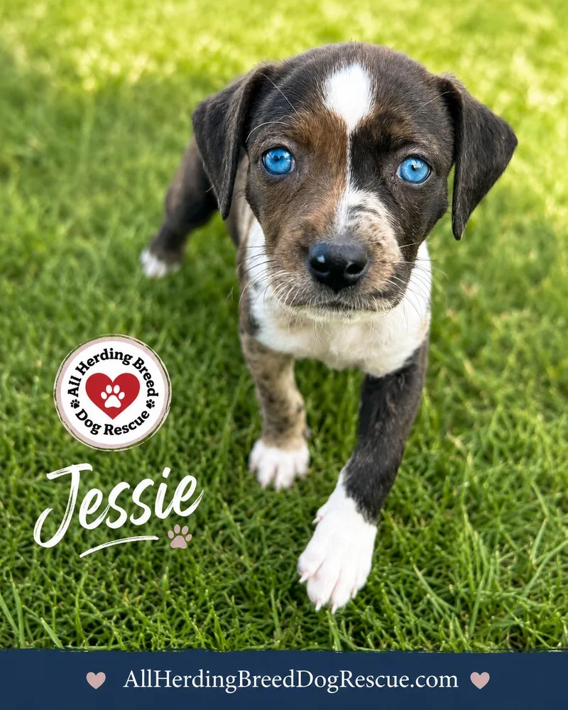 Jessie thumbnail 3