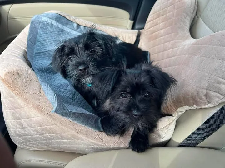 Nash & Noori