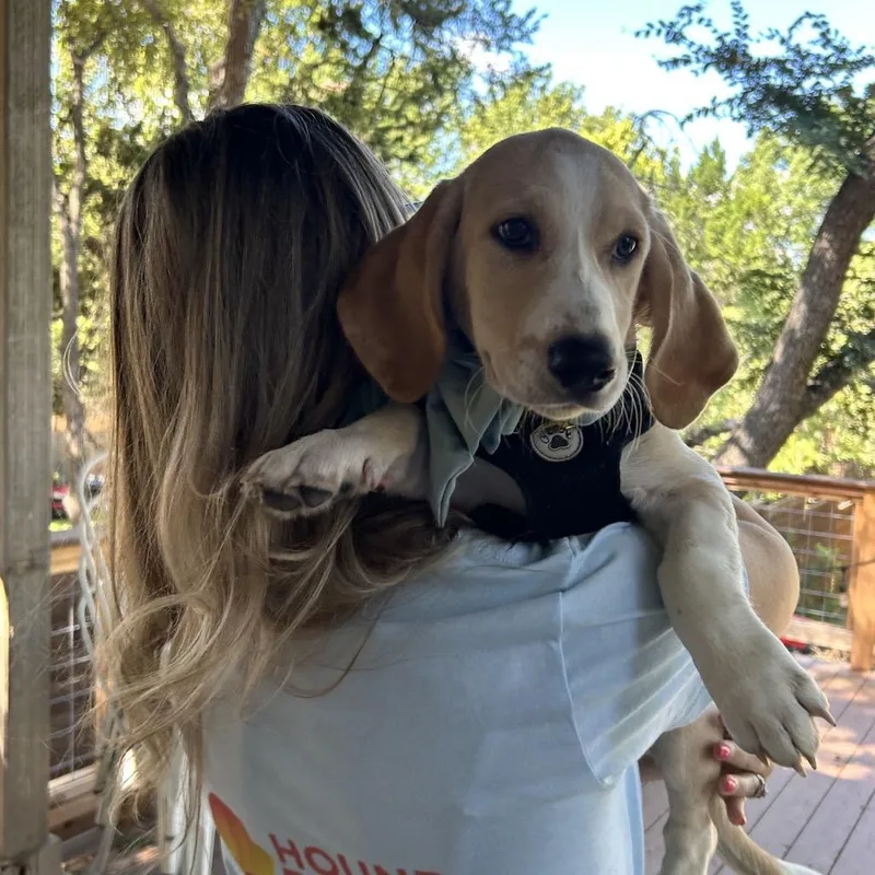 Waffles thumbnail 2