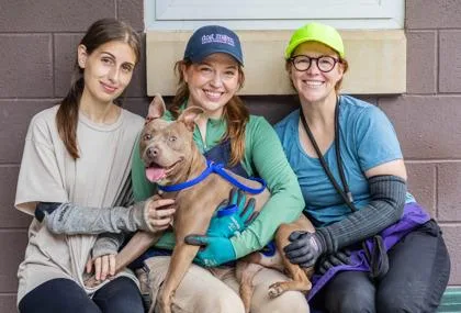 An adult medium-sized male Mixed Breed dog named Pellegrino for adoption in Chamblee, GA